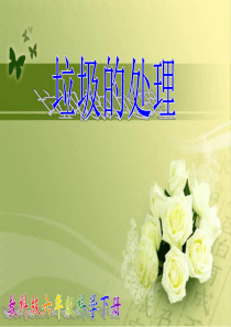 小学科学六年级下册《垃圾的处理》