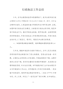 XXXX年环保局行政执法工作总结