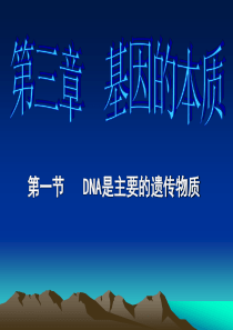 高中生物必修二DNA是主要的遗传物质-(2)