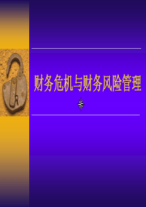aag0506财务危机与财务风险管理