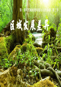 13区域发展差异