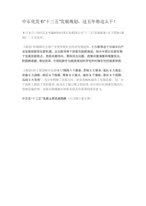 中石化发布“十三五”发展规划-这五年将这么干!