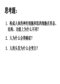 高二生物细胞的分化、癌变和衰老