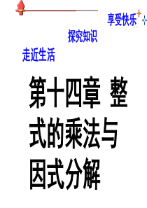 14章整式的乘除与因式分解复习