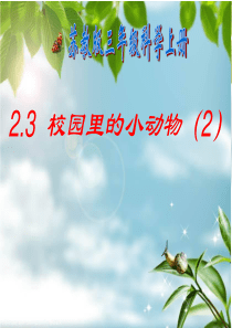 校园里的小动物(2)