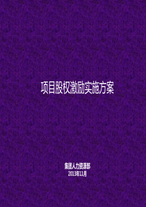 XX项目股权激励实施方案