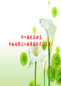 一般现在时和第三人称单数