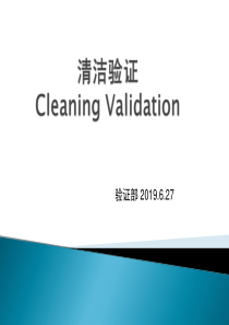 清洁验证