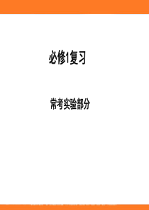 高一化学必修1期末复习实验部分