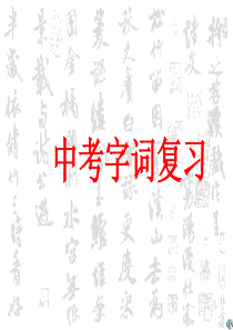 中考字词复习课件