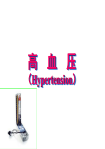 原发性高血压ppt课件