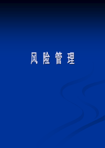 XXXX0626风险管理