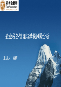 XXXX1110企业税务管理与涉税风险分析