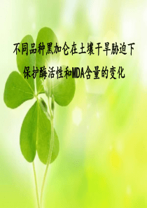 不同品种黑加仑在土壤干旱胁迫下保护酶性和MDA含量变化-文档资料