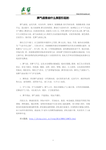 脾气虚是由什么原因引起的