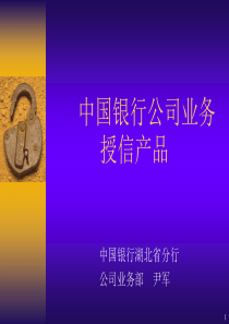 中国银行公司业务(授信、财务分析、项目评估)
