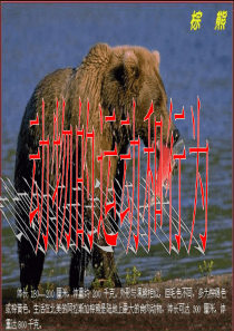 八年级生物上：第五单元第二章动物的运动和行为复习课件人教新课标版