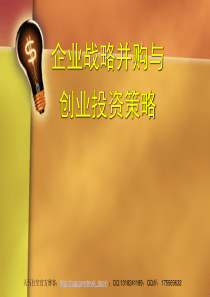 创新科技管理咨询--企业战略并购与创业投资策略