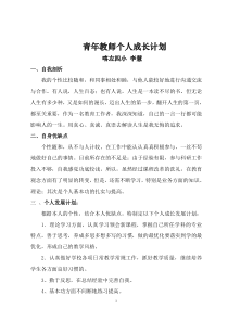 青年教师成长计划