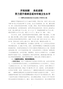 创建省级卫生县城汇报材料(验收)