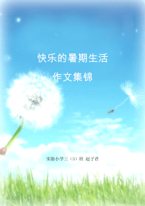 2016快乐的暑期生活作文集锦