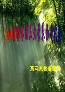 高三生物 人和动物体内三大营养物质的代谢 ppt