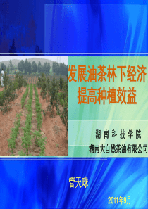 油茶林下经济