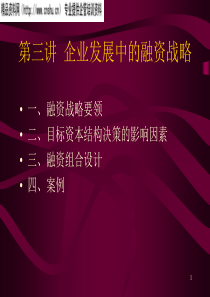 3、企业发展中的融资战略