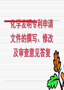 化学发明专利申请文件的撰写、修改及审查意见答复