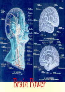 英语北师大版选修7-Unit21-Lesson-2-Brain-Power-PPT1