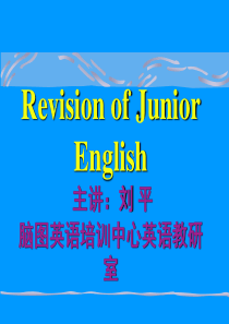 初中英语语法冠词