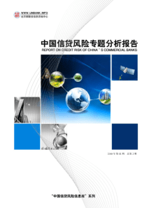 “中国信贷风险信息库”系列：中国信贷风险专题分析报告XXXX年第02
