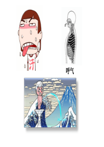 人体内废物的排出-【复习课件共30张PPT)