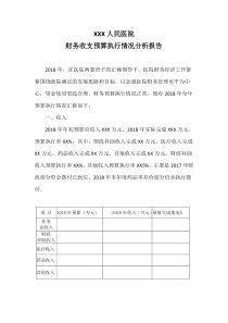 2018预算执行分析报告-