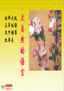 9_大自然的语言课件(北师大版语文三年级下册)