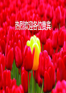 吴德海个人理财投资理财师讲座2012.11.22Rr