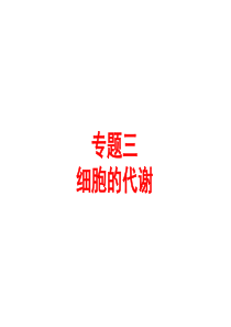 高二生物学业水平 光合作用和呼吸作用