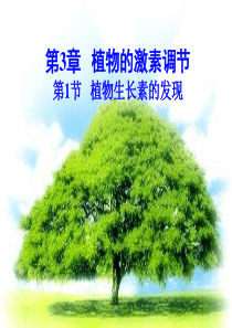高二生物必修3 植物生长素的发现1 .ppt