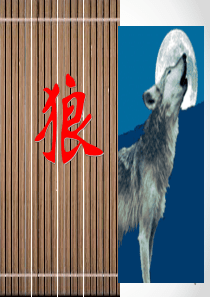 《狼》公开课一等奖PPT