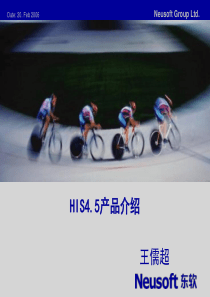 东软his产品介绍