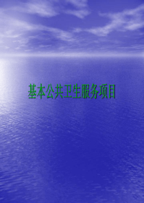 基本公共卫生服务项目培训_工作总结汇报_总结汇报_实用文档