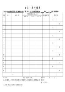 人工工资支付表