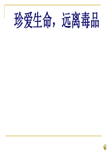 禁毒教育课件PPT
