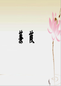 《蒹葭》