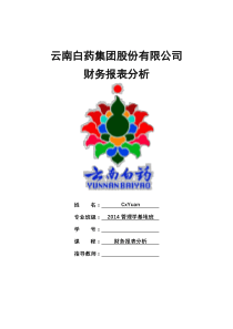 云南白药集团2011-2016年财务报告分析