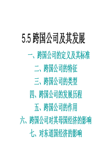 55 跨国公司及其发展