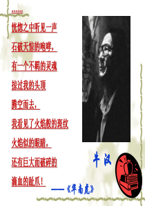 3.《我的第一本书》优秀课件