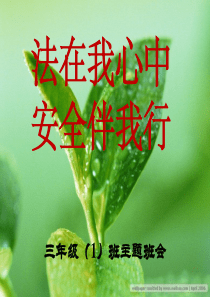 法在我心中三1班主题班会ppt