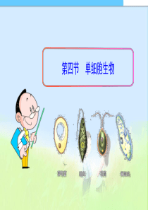 初中课件- 七年级生物上册第四节_单细胞生物精品课件