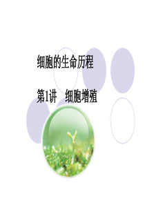 细胞的生命历程---一轮复习